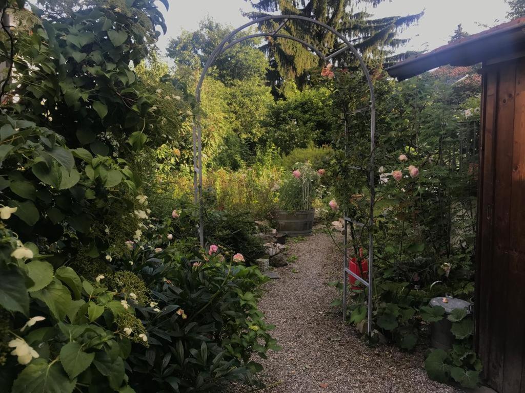 Au Jardin Bed and Breakfast Zuchwil Buitenkant foto